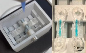Loi-et-al-Bioprinting-bioreactor-LIVE-Lab-UniPV