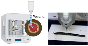 InSituBioprinting-LIVE-Lab-UNIPV